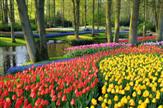 Floriade
