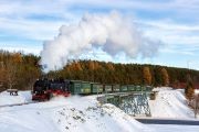 <img src="1.scenicsteantooberwiesenthal©shutterstock.jpeg" alt="Steam Train">