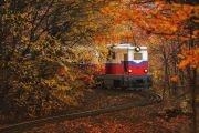 <img src="children'srailway1©shutterstock(re-size).jpeg" alt="Children's Railway ©Shutterstock">