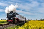 <img src="mollisteamrailway2©adobestock(re-size).jpeg" alt="Molli Steam Railway ©AdobeStock">