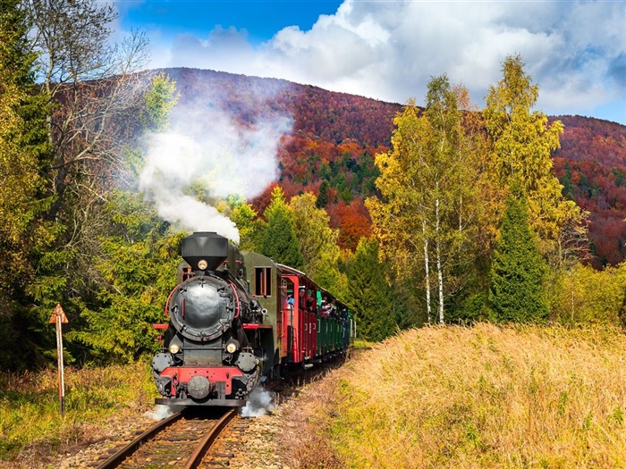 Bieszczady Forest Railway