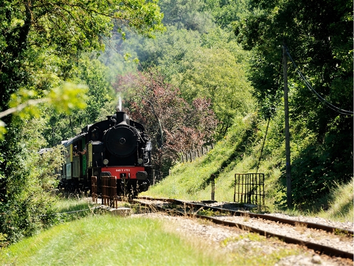 <img src="cévennessteamtrain1©adobestock.jpeg" alt="Cévennes Steam Train ©AdobeStock"/>
