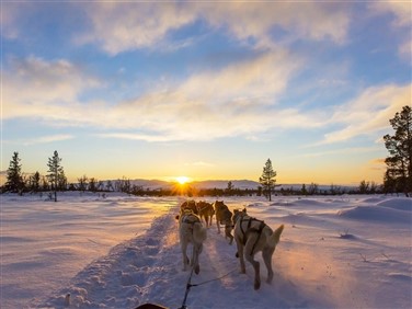 <img src="dogsledding3©shutterstock.jpeg" alt="Dogsledding, Lapland ©Shutterstock"/>