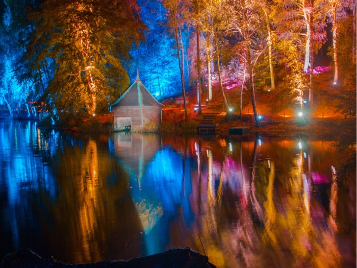 <img src="enchantedforest5©shutterstock.jpeg" alt="Enchanted Forest ©Shutterstock"/>