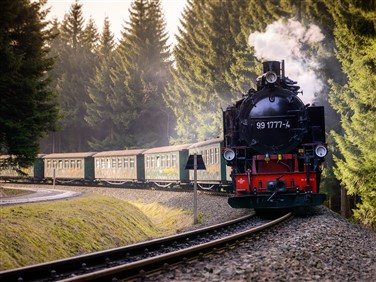 <img src="fichtelbergbahn1©shutterstock.jpeg" alt="Fichtelbergbahn"/>