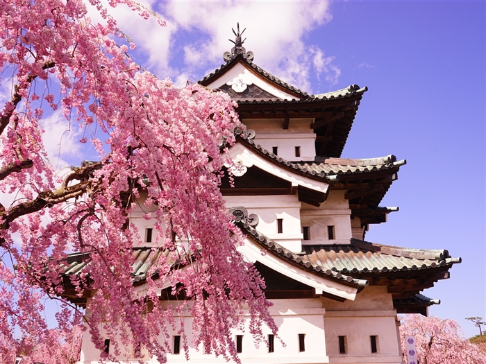 Hirosaki Castle ©AdobeStock