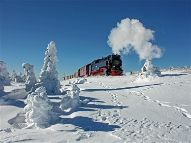 <img src="hsb15fotohsb_heidebaumgärtner.jpeg" alt="Harz Mountains Snow"/>
