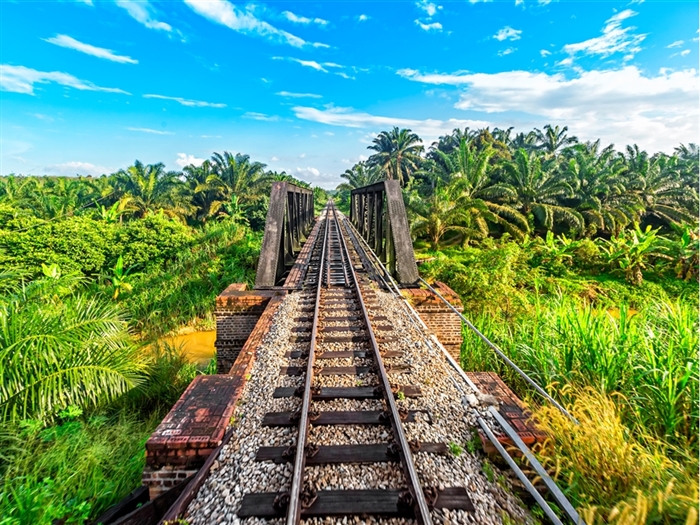 <img src="m-junglerailway,malaysia©shutterstock.jpeg" alt="Jungle Railway ©Shutterstock"/>