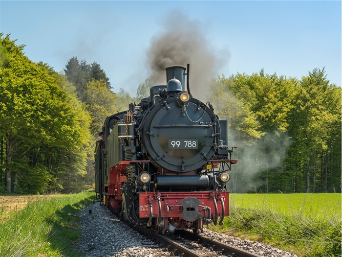 <img src="ochslebahn2©adobestock.jpeg" alt="Titisee Train ©F.Berger"/>