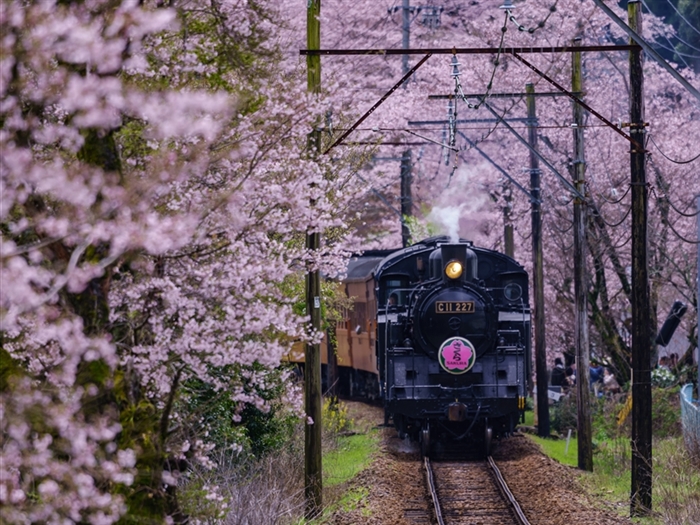 <img src="oigawarailway2©adobestock.jpeg" alt="Oigawa Railway ©AdobeStock"/>