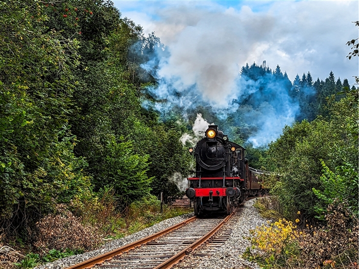 <img src="vossline,norway©shutterstock.jpeg" alt="Voss Line, Norway ©Shutterstock"/>