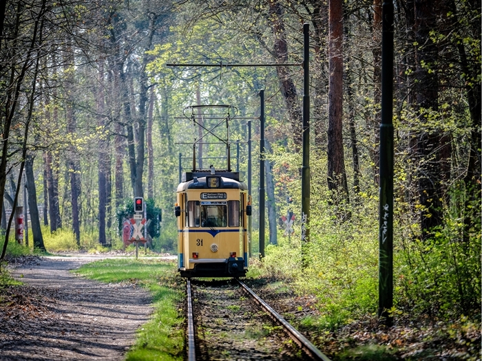 Woltersdorf Tram ©AdobeStock