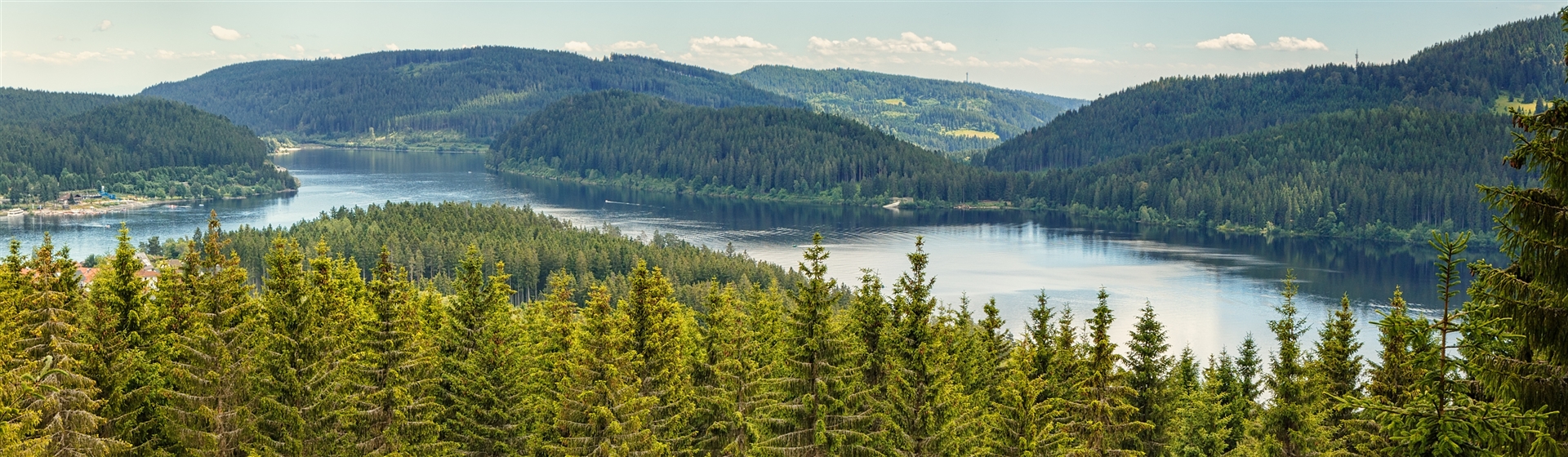 <img src="blackforestregion©adobestock.jpeg" alt="Black Forest Region ©AdobeStock"/>