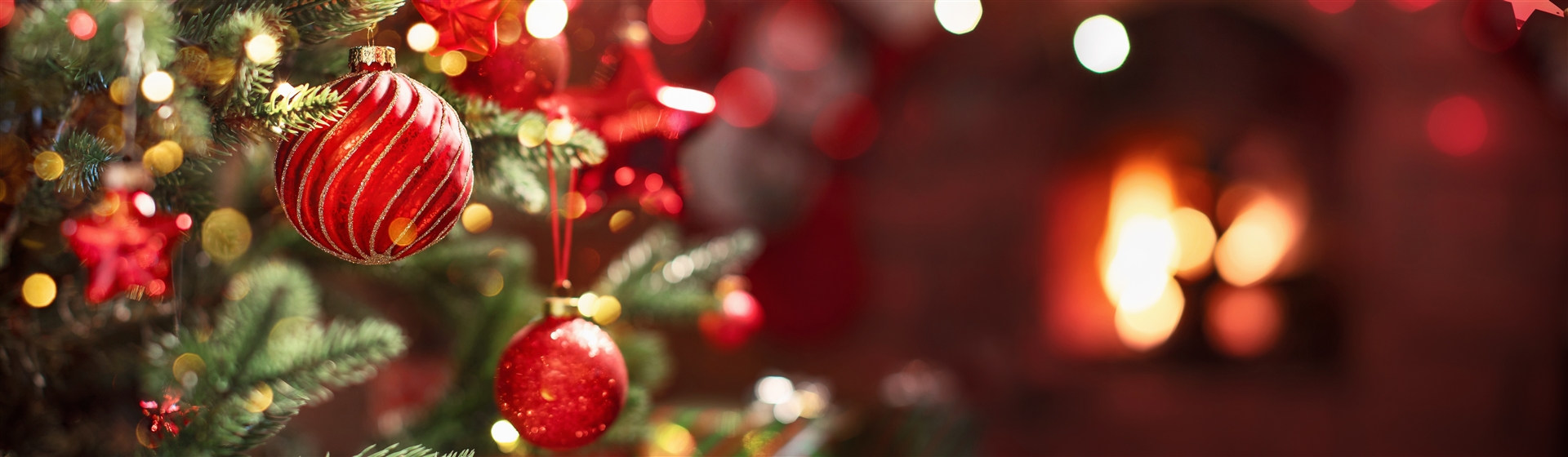 <img src="christmas©adobestock.jpeg" alt="Christmas ©AdobeStock"/>