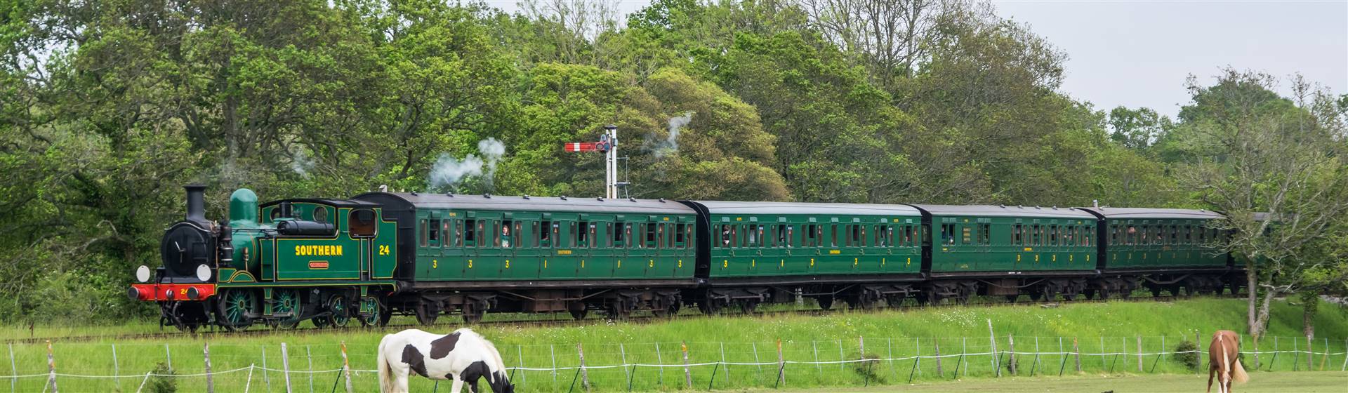 <img src="iwsr-johnfaulkner.jpeg" alt="Isle of Wight Steam Railway/">