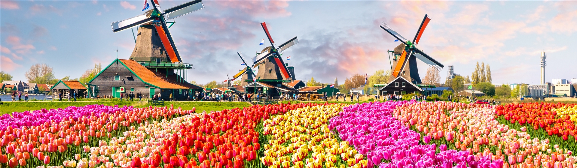 <img src="keukenhofgardens2©adobestock.jpeg" alt="Keukenhof Gardens ©AdobeStock"/>