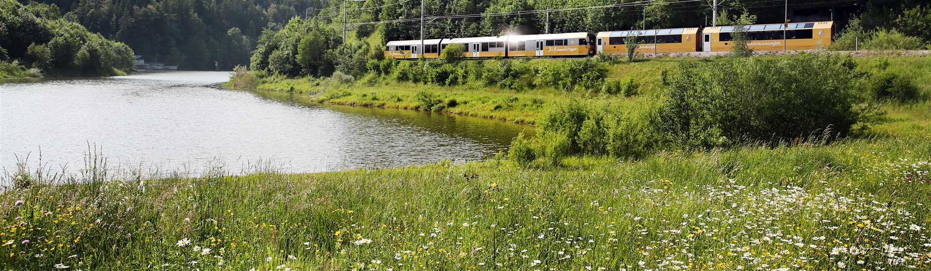 <img src="mariazellerbahnpanoramic2©novog-weinfranz.jpeg" alt="Mariazellerbahn ©NOVOG-Weinfranz"/>