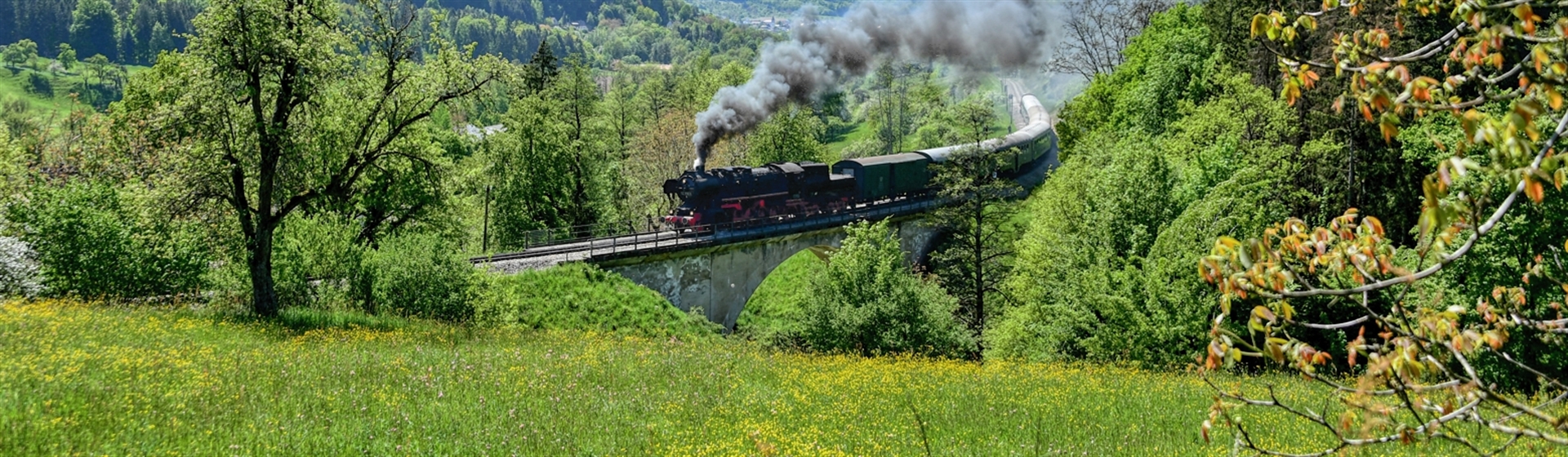 <img src="schwaebischewaldbahn2©schwaebische.jpeg" alt="Schwaebische Waldbahn ©Schwaebische"/>
