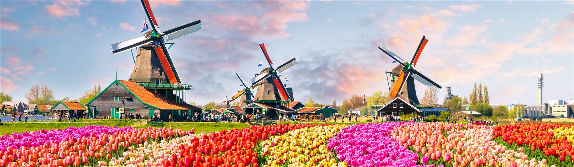 Railtrail Tours Amsterdam, Tulips Cheese & Steam 2021 rail holidays