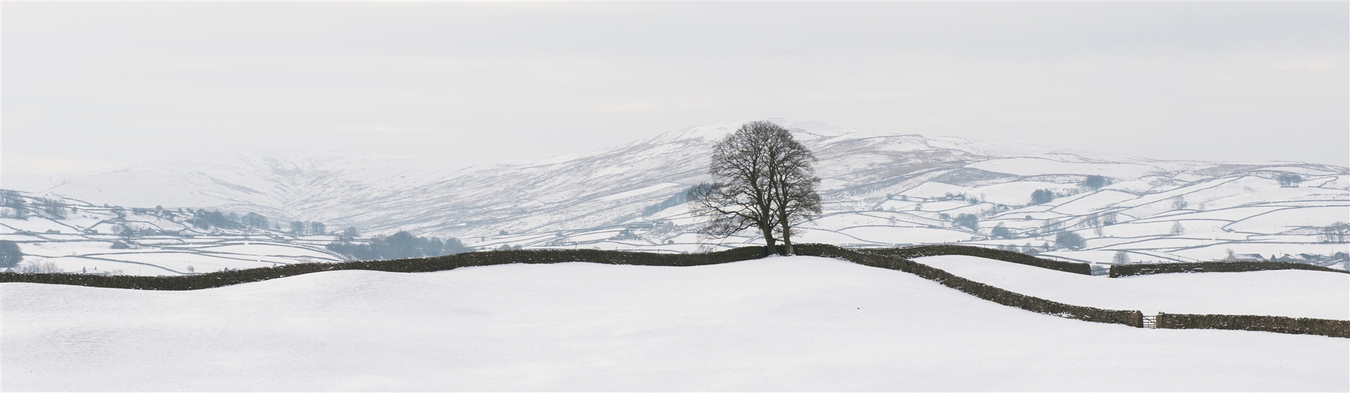 <img src="yorkshiredales©shutterstock.jpeg" alt="Yorkshire ©Shutterstock"/>