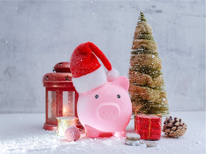 Savings on Festive Tours